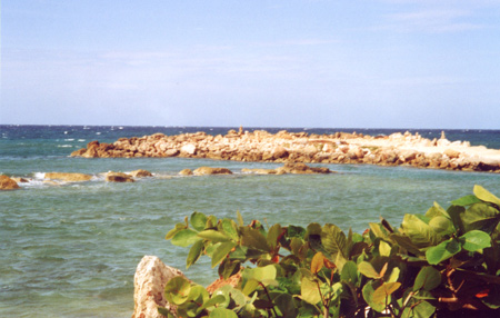 View of the Beach from the workout room